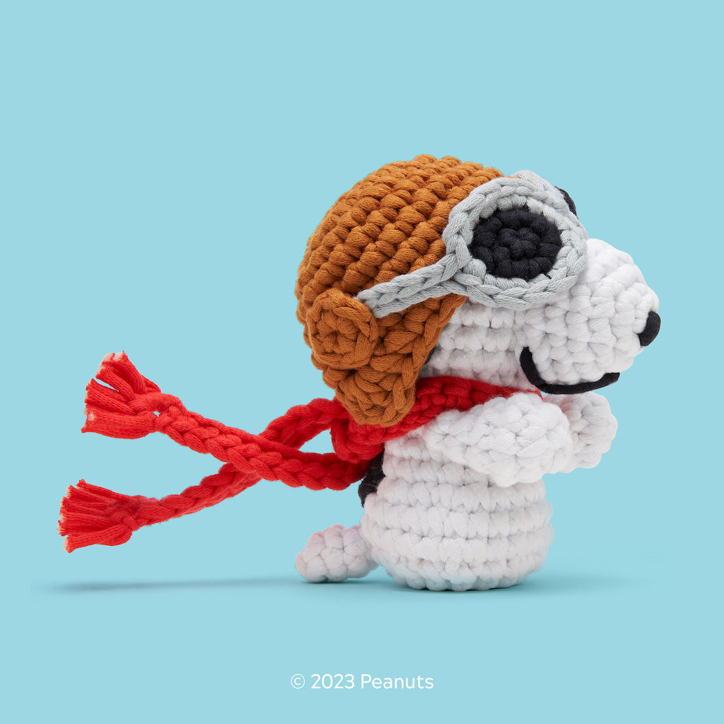Tiny Flying Ace Accessory Kit